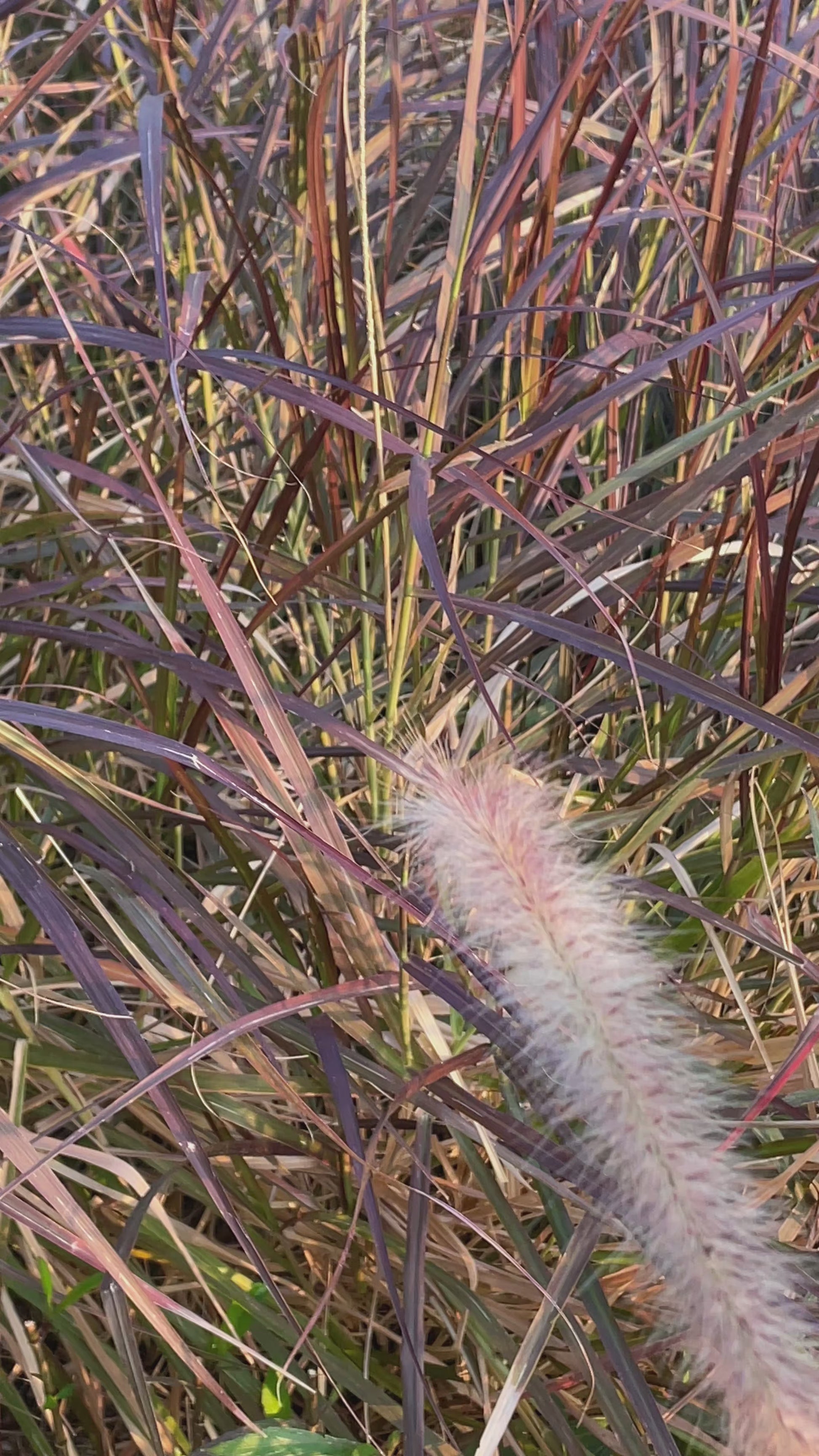 AFS Jewelry Crystal Bracelet Collection Multiple Styles with Natural & Man-Made Stones Ready-to-Wear Beaded Stretch Bracelets Unique Gift Set for Women